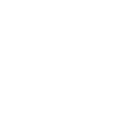 Icon: Mobile Reichweite mit Megafon und Weltkugel für Online-Marketing
